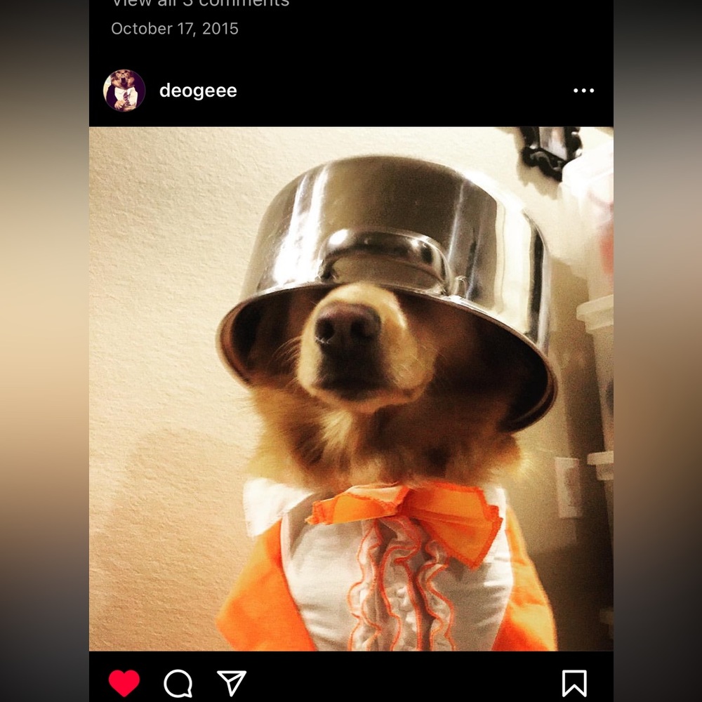 This is amazing things from DeeOgee ( D O G) customized to you . - Picture 5 of 11